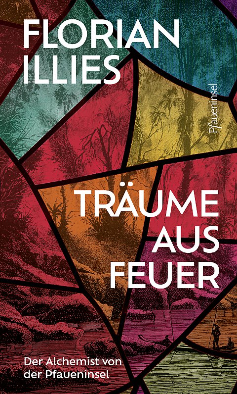 Bild Bild